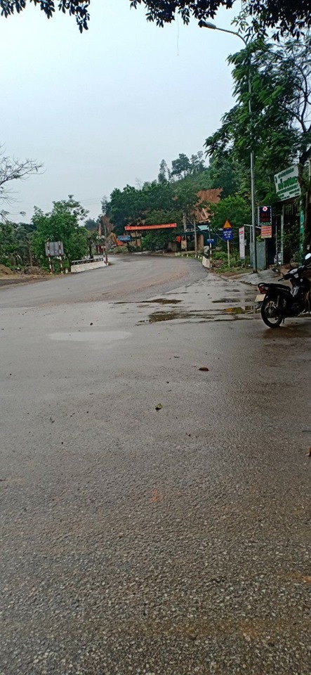 ngày xh c ly.jpg