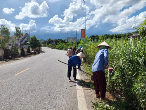 thôn Đồng Hải vs mt.jpg